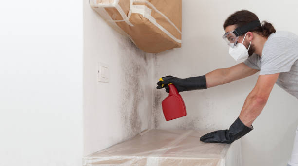 Professional Black Mold Removal technician working in Copiague, NY